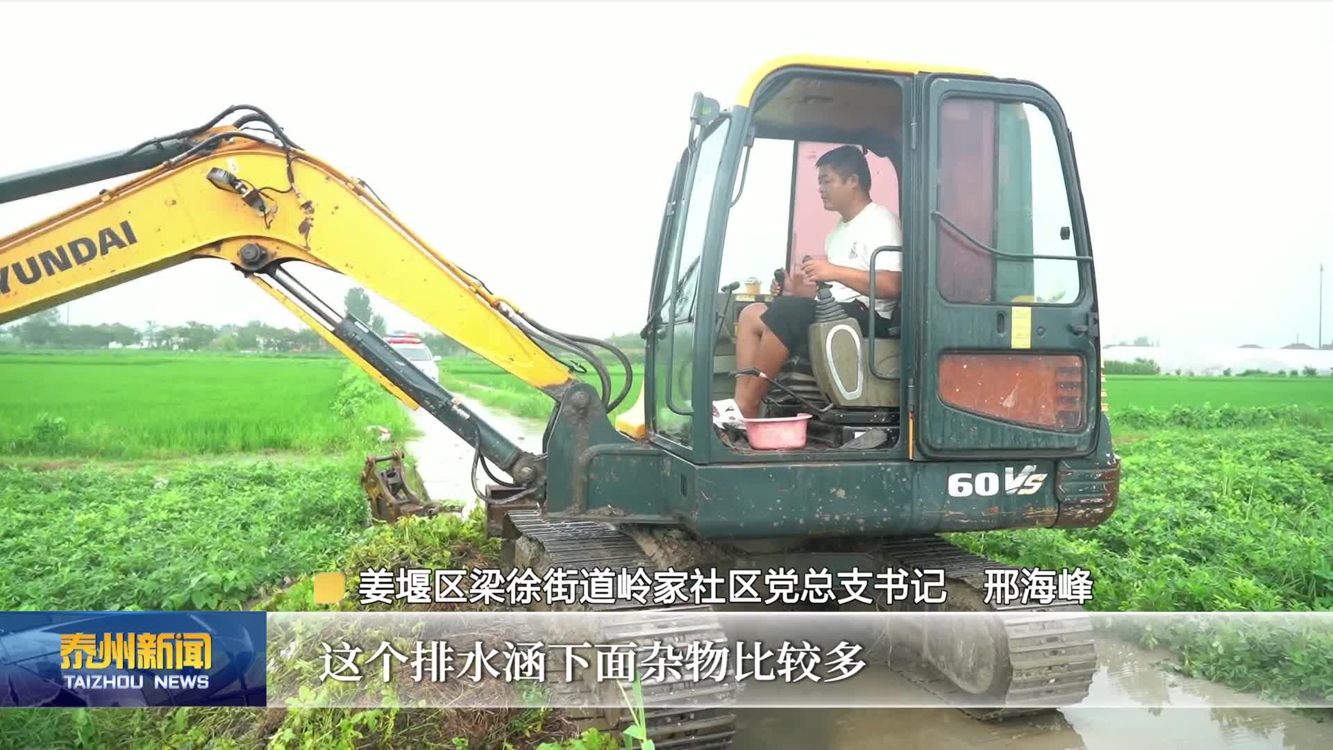 应对连续强降雨  泰州全力做好防汛排涝和农业生产抗灾自救工作